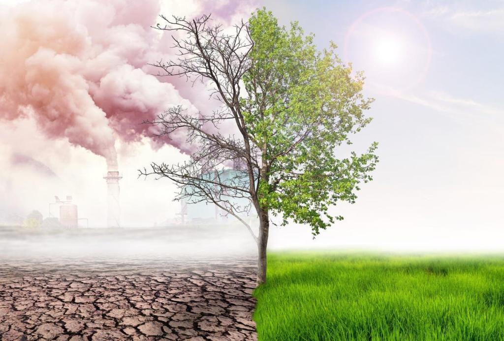 CLIMATE CHANGE: IMPACT ON INDIA AND POLICY FRAMEWORK