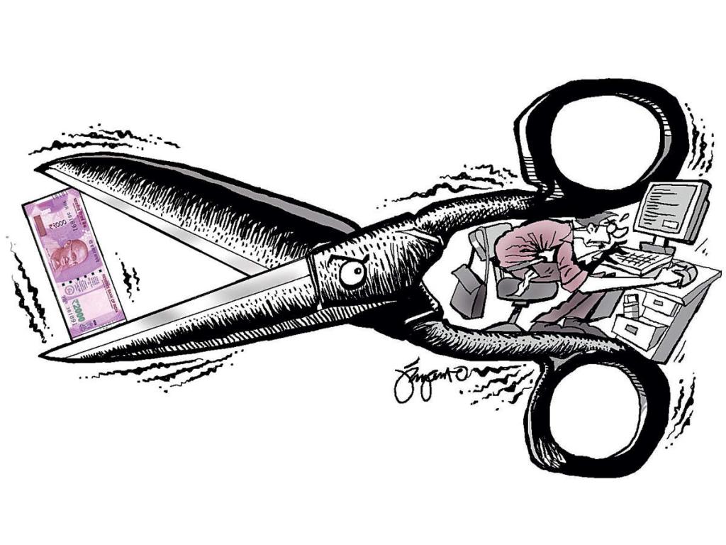 MAPPING SUSTAINABLE AGRICULTURE