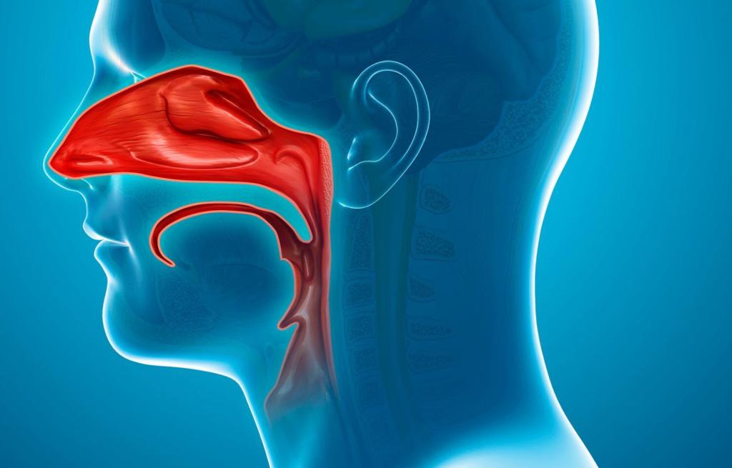 DIALOGUES IN HEALTH AND WELLNESS