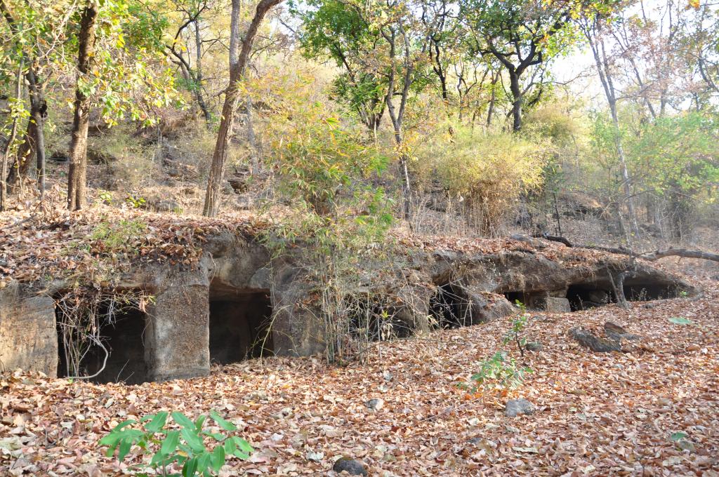 SOUTH ASIA BEYOND BORDERS: NEW RESEARCH IN HISTORY AND ARCHAEOLOGY