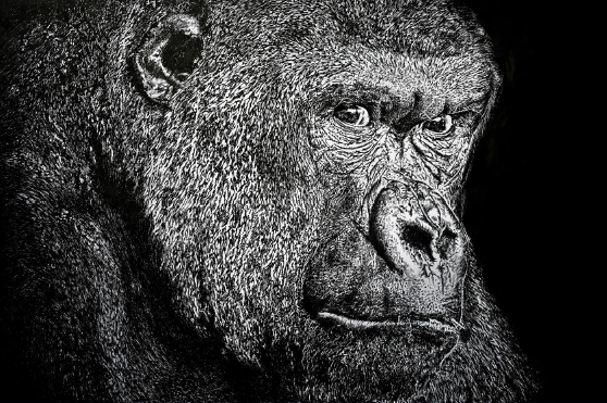 

<!-- THEME DEBUG -->
<!-- THEME HOOK: 'field' -->
<!-- FILE NAME SUGGESTIONS:
   ▪️ field--node--title--programs.html.twig
   ✅ field--node--title.html.twig
   ▪️ field--node--programs.html.twig
   ▪️ field--title.html.twig
   ▪️ field--string.html.twig
   ▪️ field.html.twig
-->
<!-- BEGIN OUTPUT from 'core/themes/stable9/templates/field/field--node--title.html.twig' -->
<span>Fine Line</span>

<!-- END OUTPUT from 'core/themes/stable9/templates/field/field--node--title.html.twig' -->

