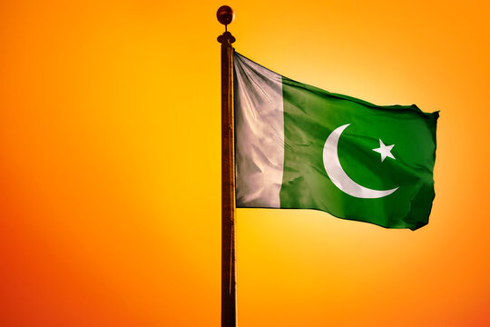 IIC/PCI - Conversations with Media # 10