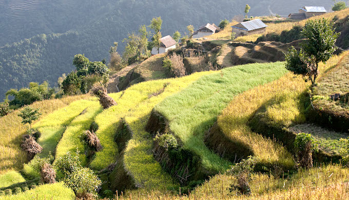 10th Edition of ‘Dialogue to Develop a Vision for the Environment of Delhi – 2025’