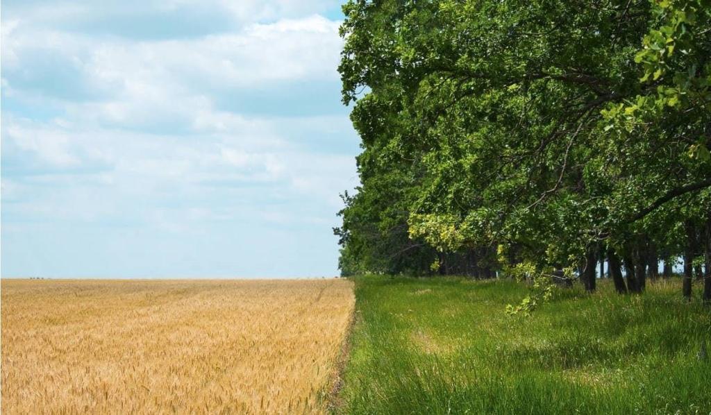 BHOOMI FESTIVAL 2023