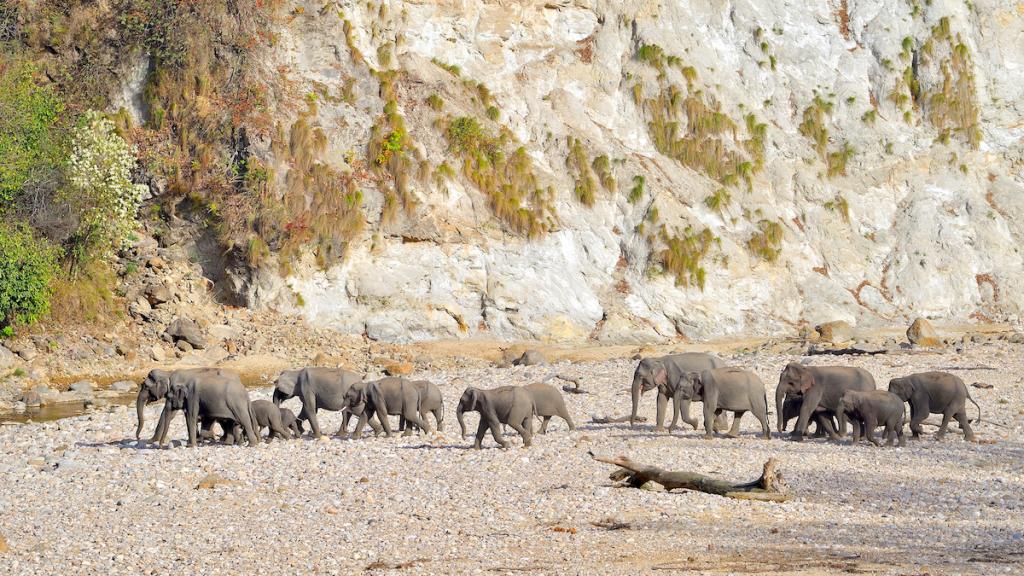 

<!-- THEME DEBUG -->
<!-- THEME HOOK: 'field' -->
<!-- FILE NAME SUGGESTIONS:
   ▪️ field--node--title--programs.html.twig
   ✅ field--node--title.html.twig
   ▪️ field--node--programs.html.twig
   ▪️ field--title.html.twig
   ▪️ field--string.html.twig
   ▪️ field.html.twig
-->
<!-- BEGIN OUTPUT from 'core/themes/stable9/templates/field/field--node--title.html.twig' -->
<span>Afternoon Safari</span>

<!-- END OUTPUT from 'core/themes/stable9/templates/field/field--node--title.html.twig' -->

