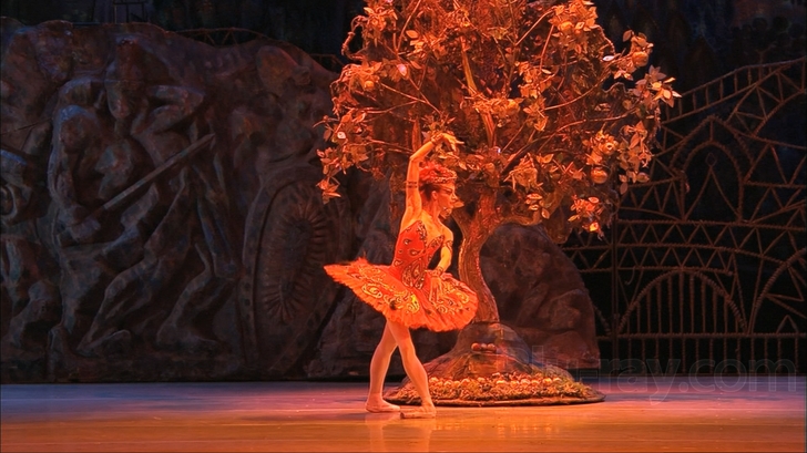 SUMMER SONATA-A FESTIVAL OF OPERA, BALLET AND CONCERT FILMS