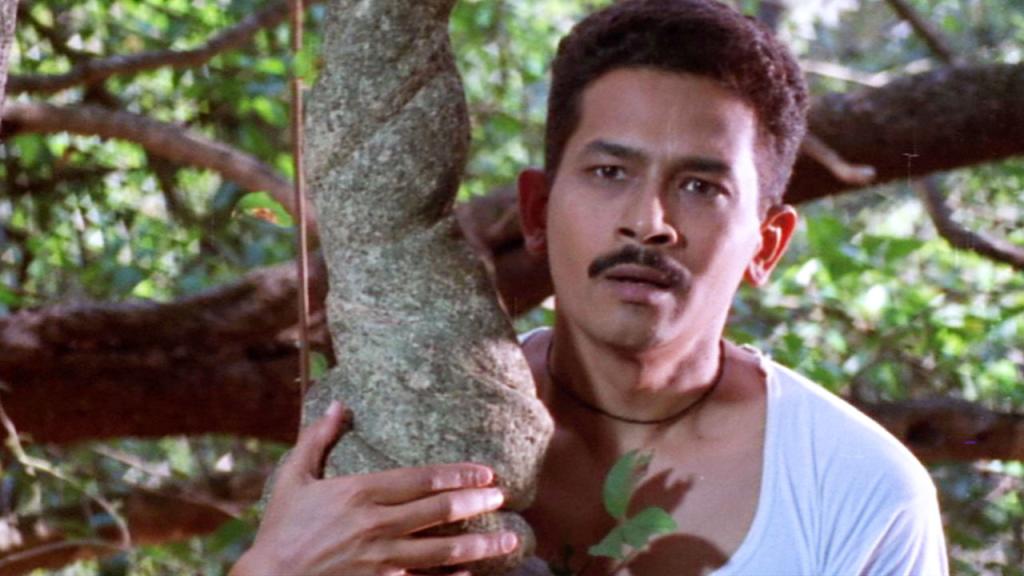 Devrai (Sacred Grove/India)