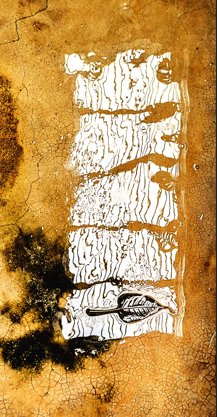 Point of View Finder