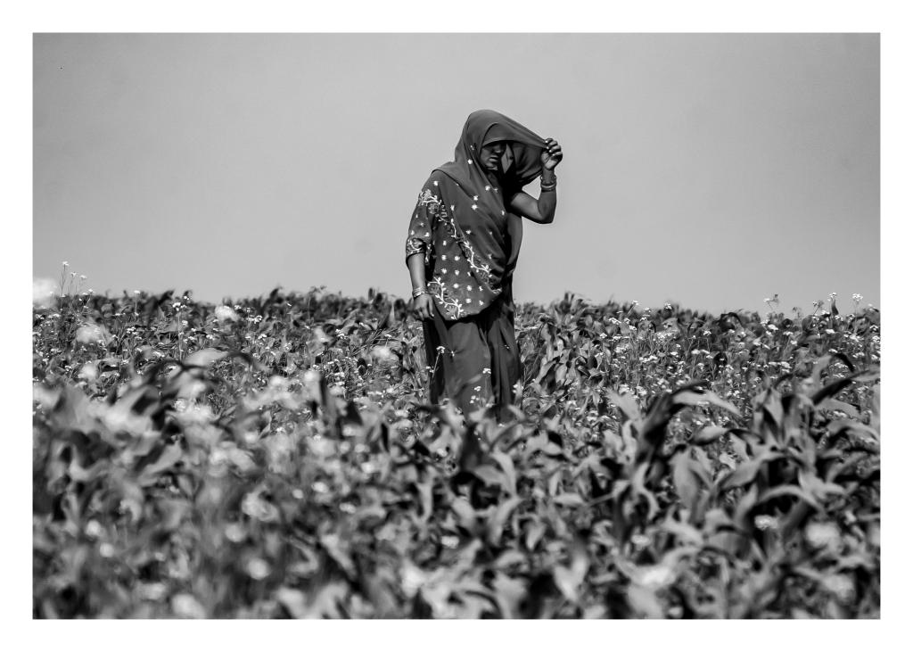 

<!-- THEME DEBUG -->
<!-- THEME HOOK: 'field' -->
<!-- FILE NAME SUGGESTIONS:
   ▪️ field--node--title--programs.html.twig
   ✅ field--node--title.html.twig
   ▪️ field--node--programs.html.twig
   ▪️ field--title.html.twig
   ▪️ field--string.html.twig
   ▪️ field.html.twig
-->
<!-- BEGIN OUTPUT from 'core/themes/stable9/templates/field/field--node--title.html.twig' -->
<span>Portraits of Persistence, and Enduring Communities of North Bihar</span>

<!-- END OUTPUT from 'core/themes/stable9/templates/field/field--node--title.html.twig' -->

