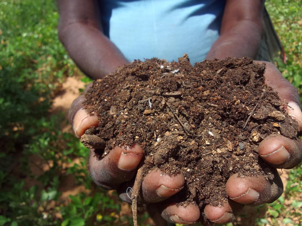 Indian Soil in Revolution