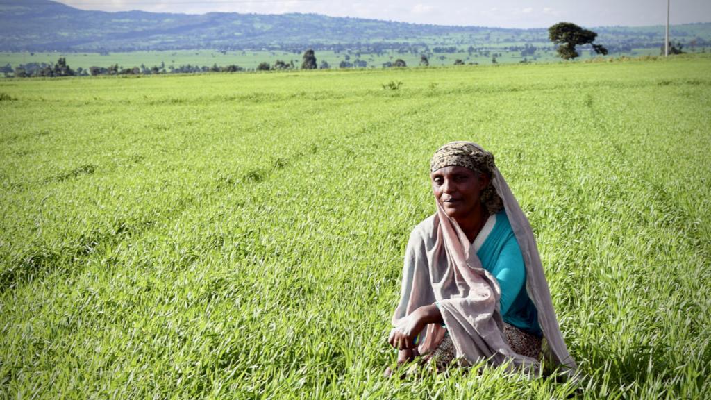 Agriculture Policy Series