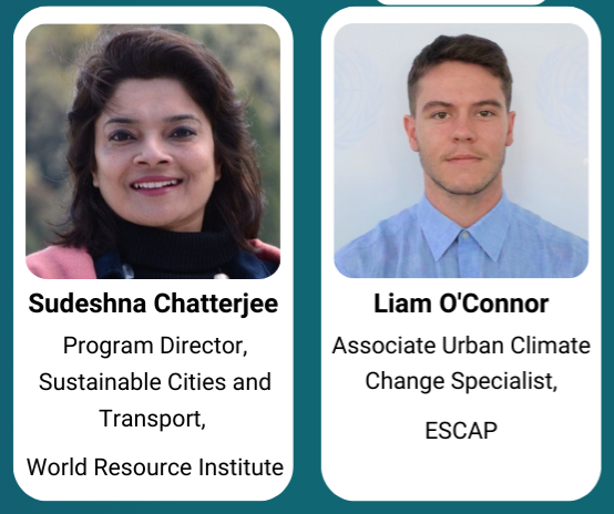 Nature-Based Solutions for Hot Cities