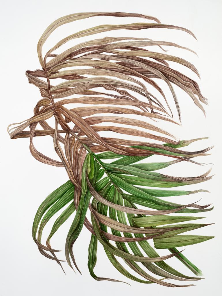 

<!-- THEME DEBUG -->
<!-- THEME HOOK: 'field' -->
<!-- FILE NAME SUGGESTIONS:
   ▪️ field--node--title--programs.html.twig
   ✅ field--node--title.html.twig
   ▪️ field--node--programs.html.twig
   ▪️ field--title.html.twig
   ▪️ field--string.html.twig
   ▪️ field.html.twig
-->
<!-- BEGIN OUTPUT from 'core/themes/stable9/templates/field/field--node--title.html.twig' -->
<span>Wabi Sabi Watercolour Artworks</span>

<!-- END OUTPUT from 'core/themes/stable9/templates/field/field--node--title.html.twig' -->

