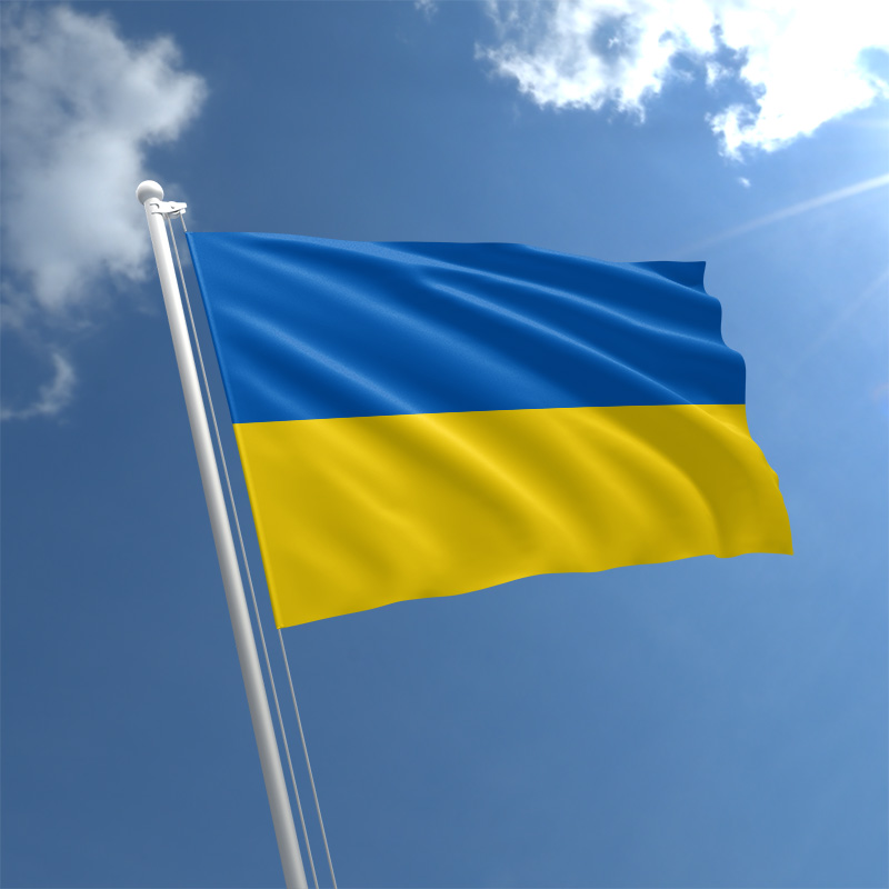 Ukraine: Where is it headed?