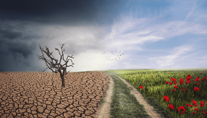 Seminar on Climate Change: Land Cover & Land Use and Biodiversity