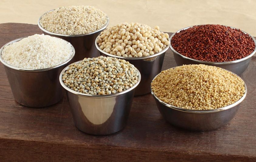 Empowering Health & Nutrition