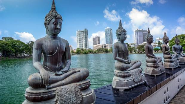 

<!-- THEME DEBUG -->
<!-- THEME HOOK: 'field' -->
<!-- FILE NAME SUGGESTIONS:
   ▪️ field--node--title--programs.html.twig
   ✅ field--node--title.html.twig
   ▪️ field--node--programs.html.twig
   ▪️ field--title.html.twig
   ▪️ field--string.html.twig
   ▪️ field.html.twig
-->
<!-- BEGIN OUTPUT from 'core/themes/stable9/templates/field/field--node--title.html.twig' -->
<span>Modernism and the Sri Lankan Mind. The Life and Work of Martin Wickramasinghe (1890 - 1976)</span>

<!-- END OUTPUT from 'core/themes/stable9/templates/field/field--node--title.html.twig' -->

