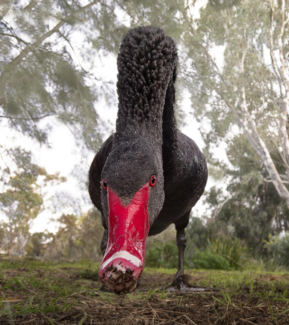 The Big Picture 2025