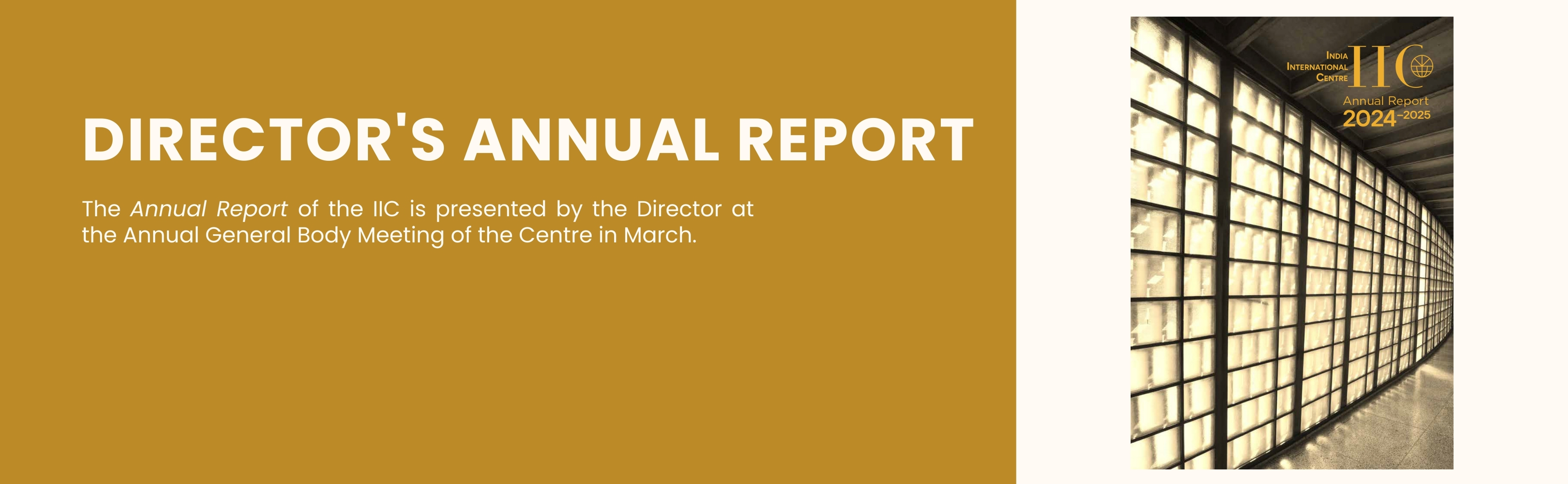 Director's Annual Report