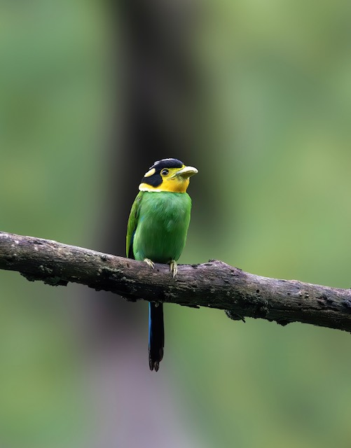 EXHIBITION- Whispers of The Sky