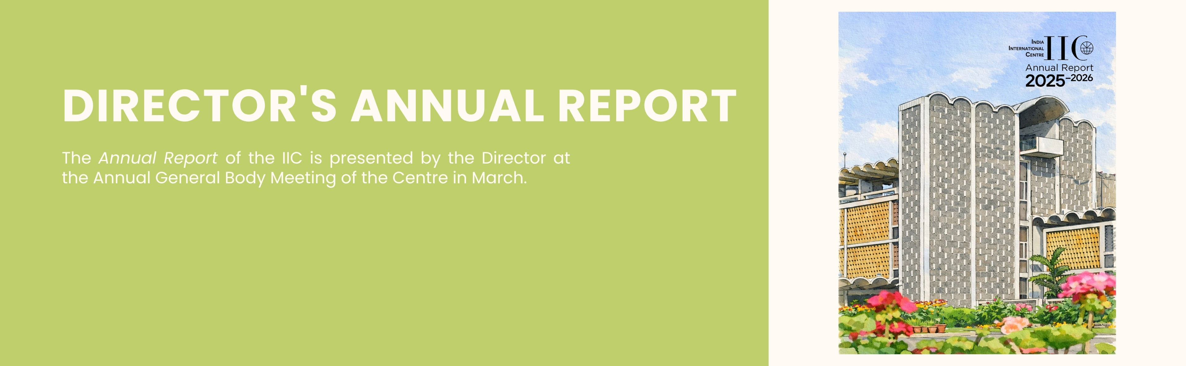 Director's Annual Report