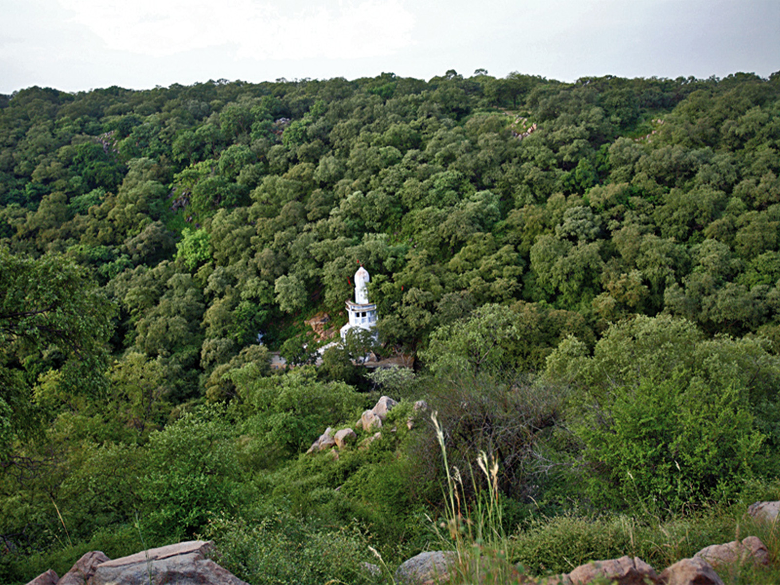 LIVING LANDSCAPES