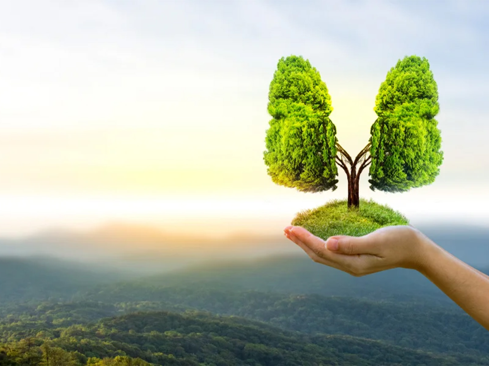 CLEAN AIR DIALOGUES