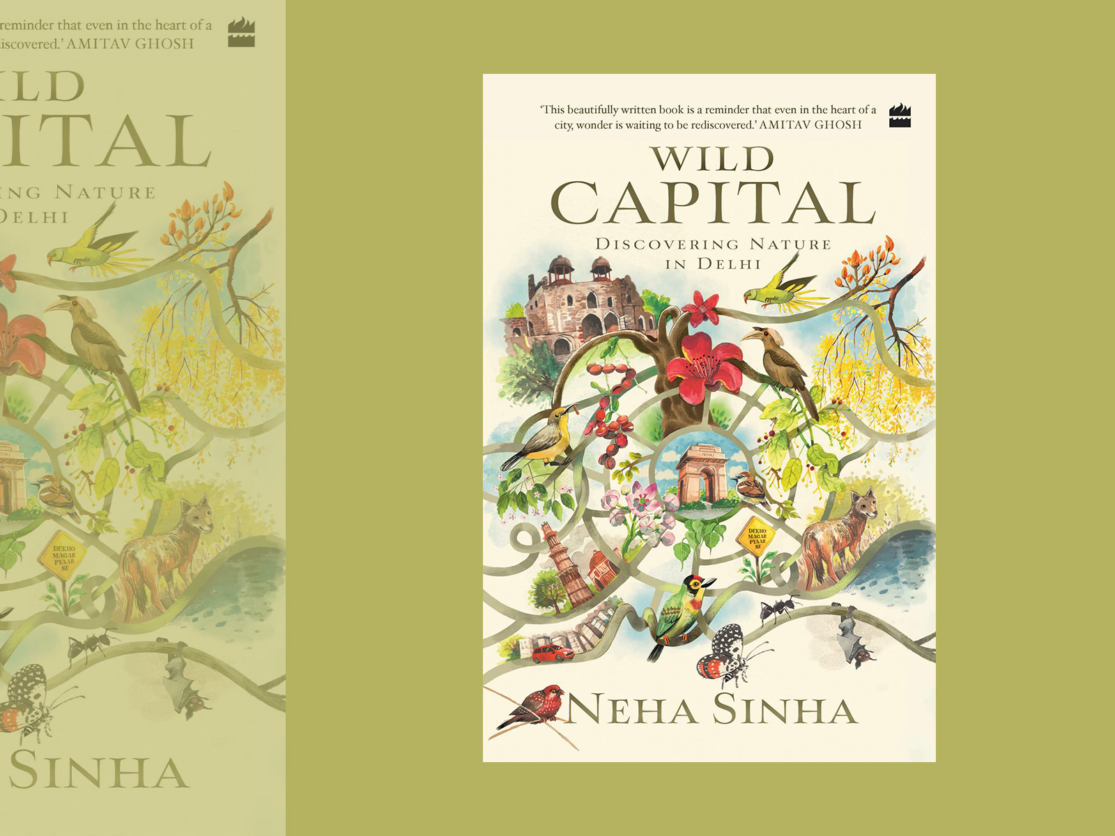 BOOK DISCUSSION GROUP  -Wild Capital: Discovering Nature in Delhi