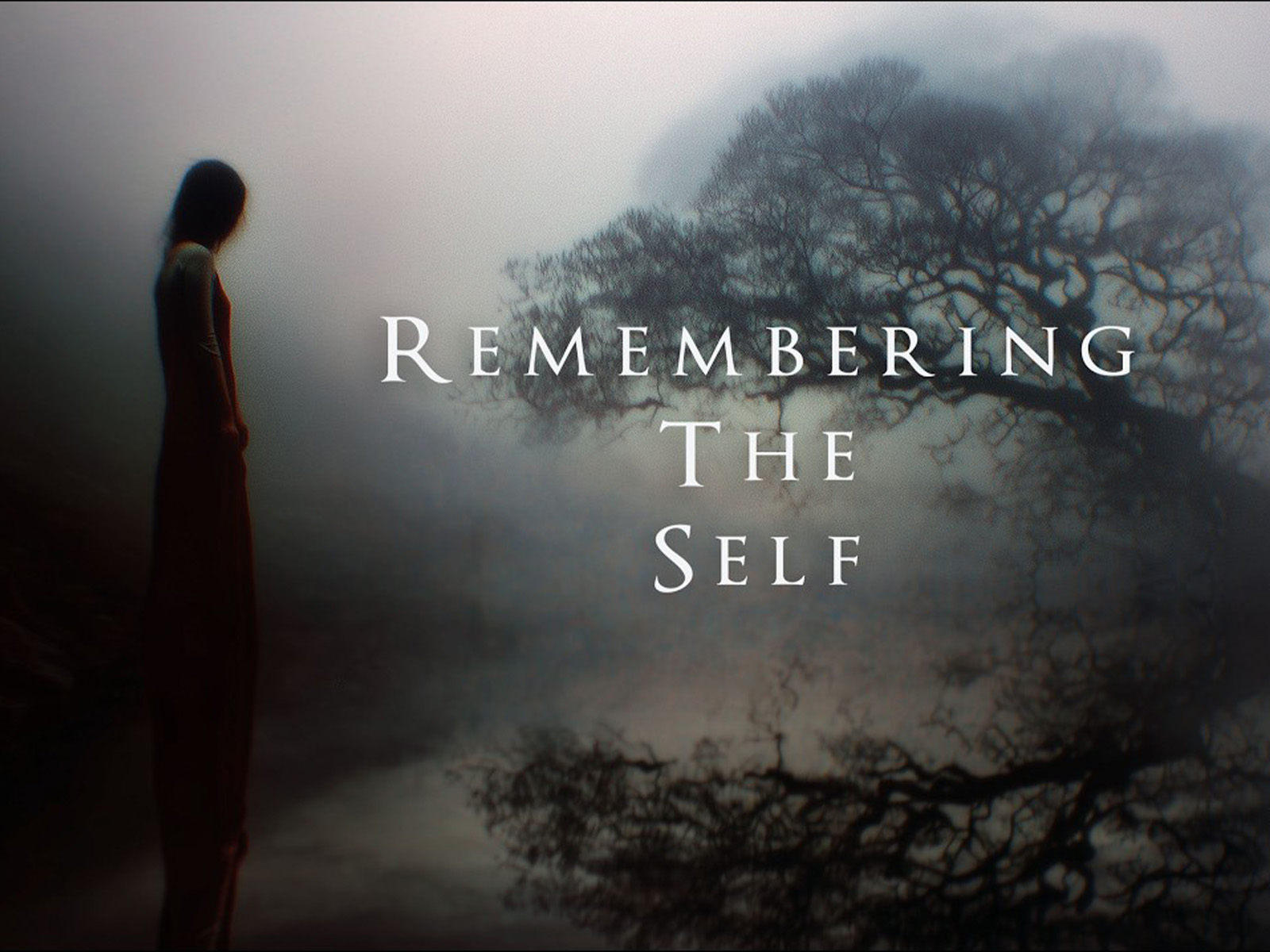 Film- Remembering the Self - A Meditative Journey