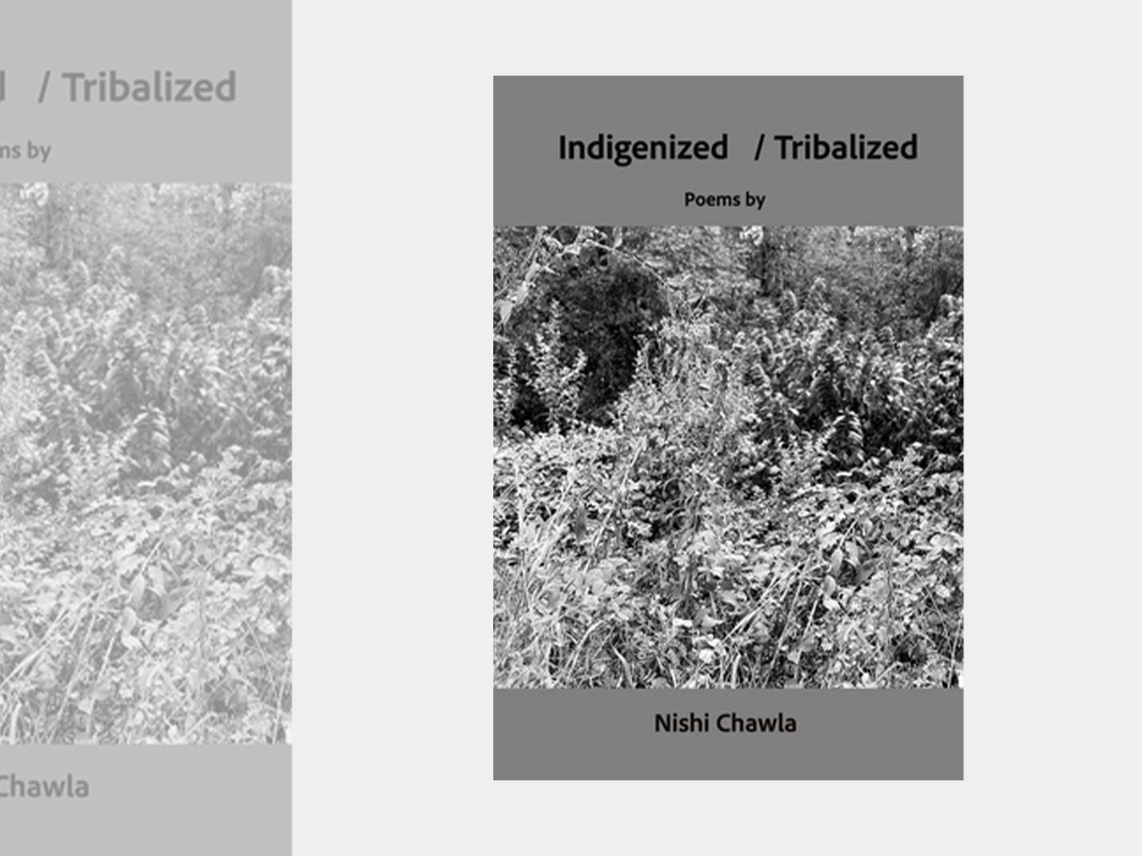 BOOK DISCUSSION GROUP-  Indigenized/ Tribalized: Poems