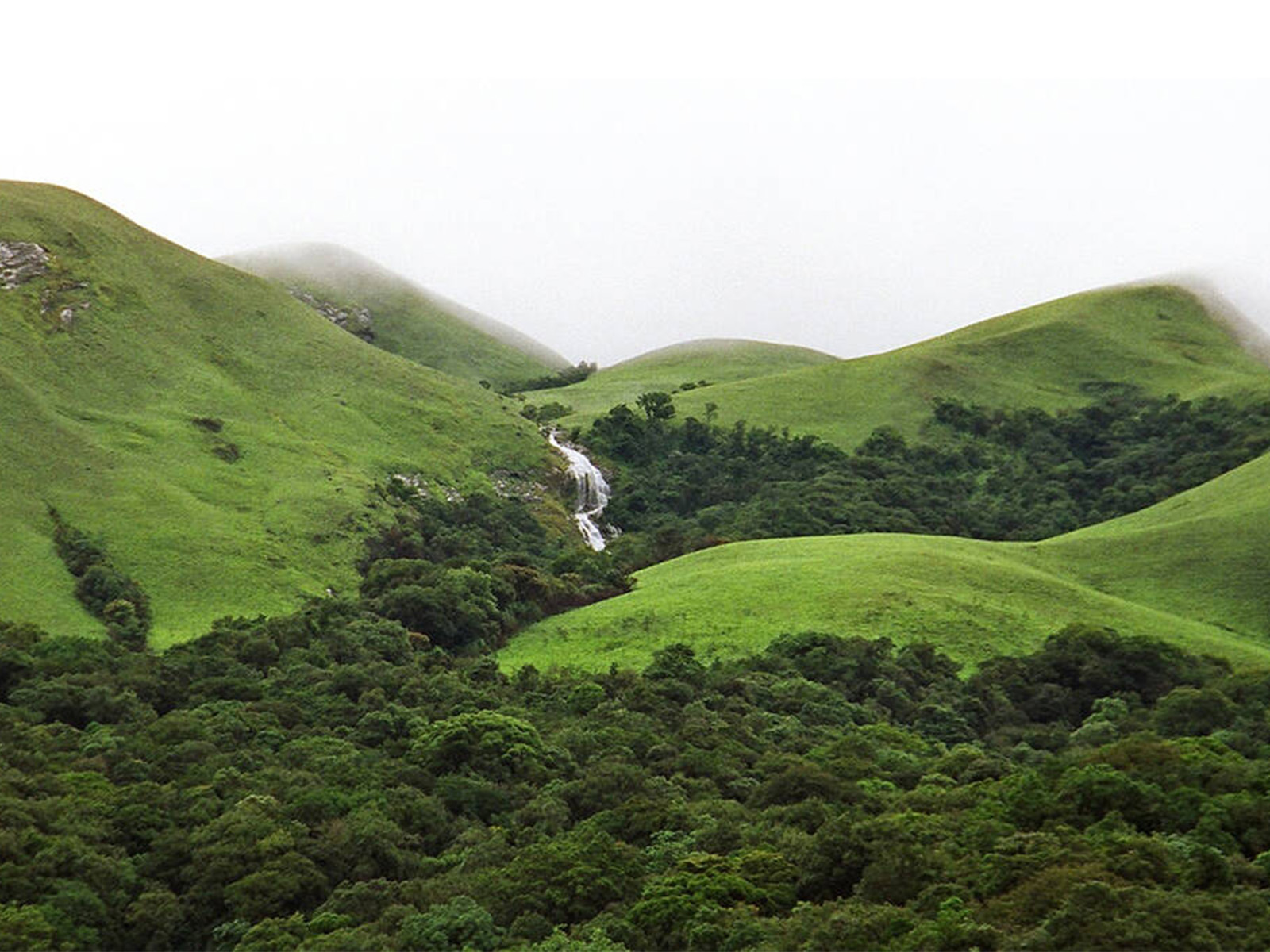 LIVING LANDSCAPES-  Conceptualized by Anuj Srivastava