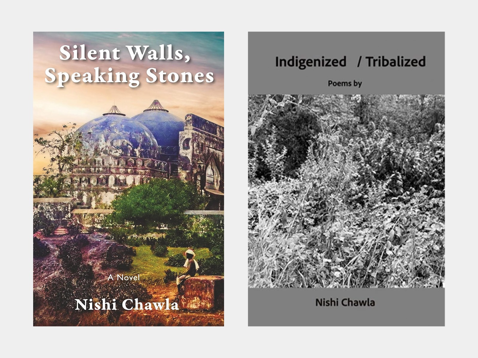 BOOK DISCUSSION GROUP- Stories Carved in Stone Voices Rooted in Earth  Silent Walls, Speaking Stones & Indigenized/ Tribalized: Poems