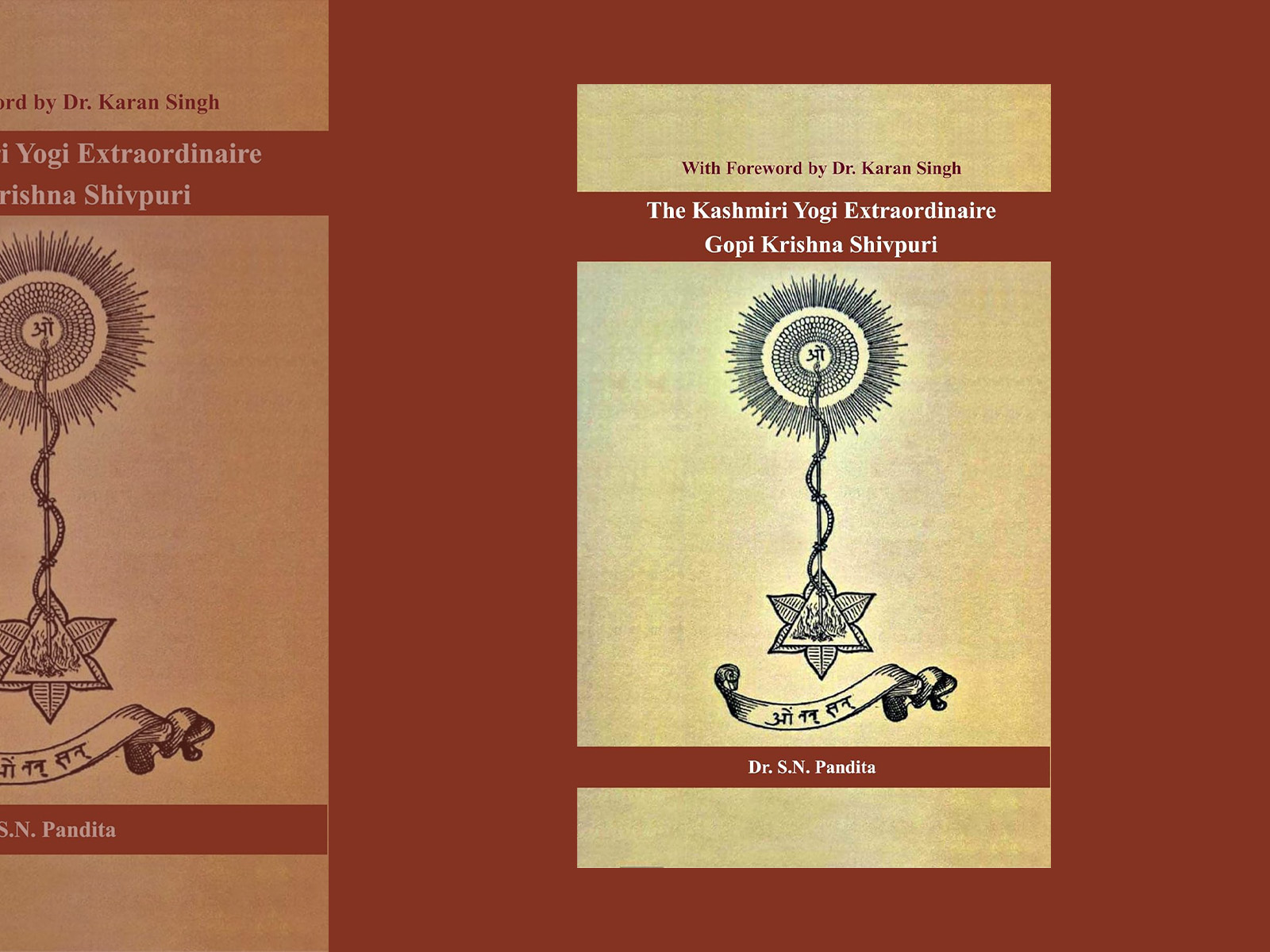 Book Discussion Group  -The Kashmiri Yogi Extraordinaire Gopi Krishna Shivpuri