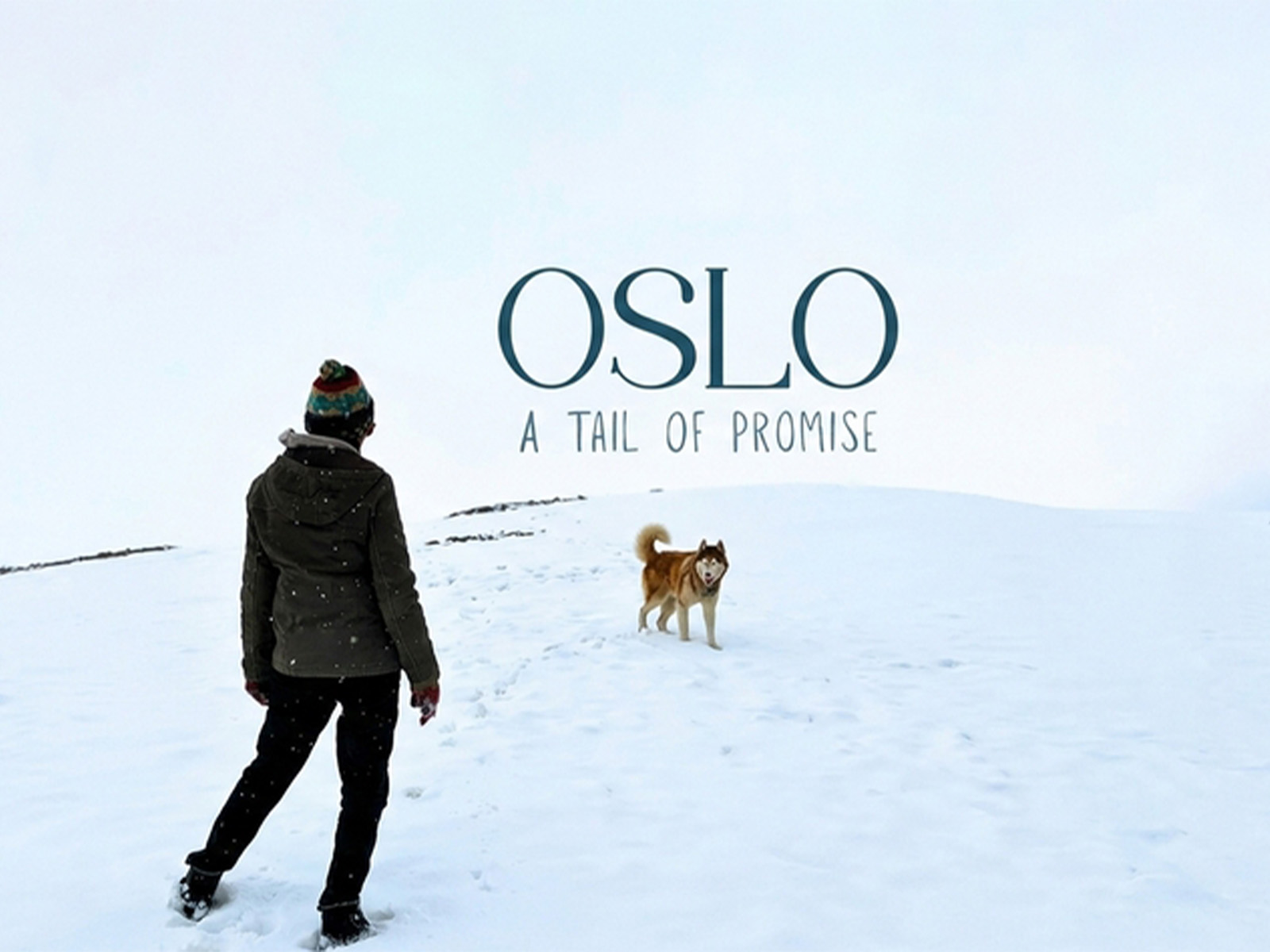 FILM-Oslo: A Tail of Promise