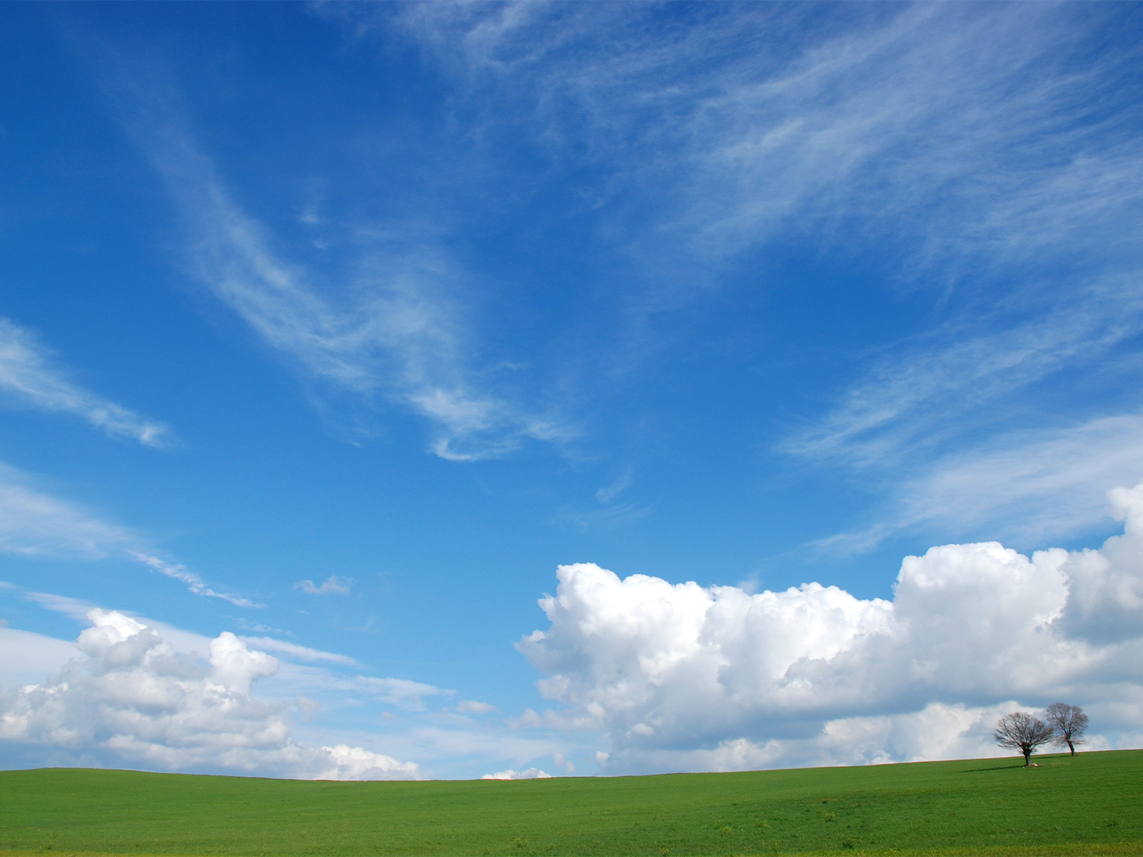 CLEAN AIR DIALOGUES -International Clean Air Day 