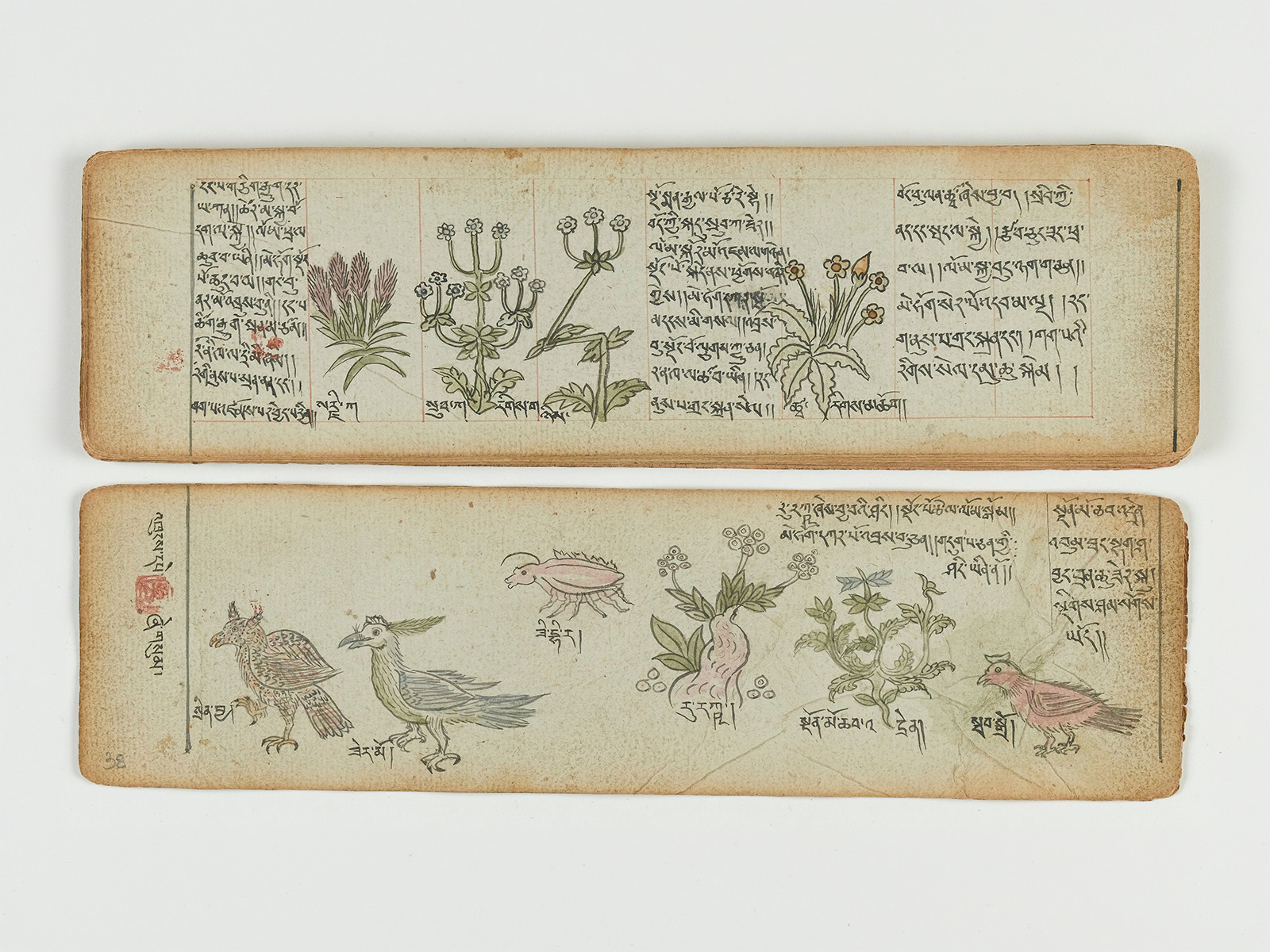 Nirāmayatā: Healing and Wellbeing in South Asian Texts and Practices