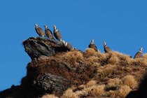 THE HIMALAYA: A TIMELESS QUEST