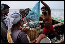 India – Sri Lanka: The Fishermen Dispute
