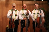 THE IIC EXPERIENCE: A FESTIVAL OF THE ARTS 30th October to 4th November 2015