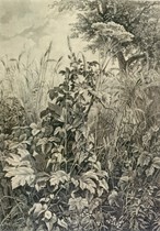 Release of the IIC Quarterly: Autumn 2015