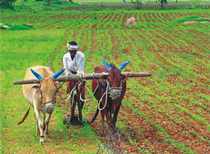 GOVERNANCE ISSUES ON AGRICULTURE