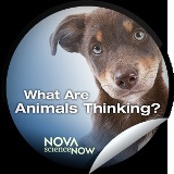 FILMS ON SPIRITUALITY AND THE OTHER DIMENSION