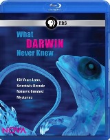 FILMS ON SPIRITUALITY AND THE OTHER DIMENSION