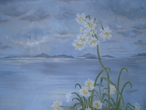 Ranikhet State of Mind