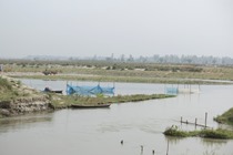 Breaking New Frontiers: A New and Immediate Solution for the Water Crisis