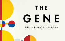 BOOK DISCUSSION GROUP