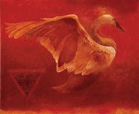 SPIRITUALITY AND THE OTHER DIMENSION