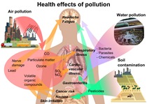 ENVIRONMENT AND HEALTH SERIES