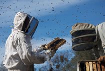 QUOTES FROM THE EARTH: A FESTIVAL OF ENVIRONMENTAL FILMS – 2 and 3 December 2016