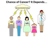 ENVIRONMENT AND HEALTH SERIES